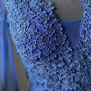 Blue Long Lace Sleeved Gown